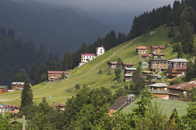 Ayder Yaylasi, Rize，火鸡